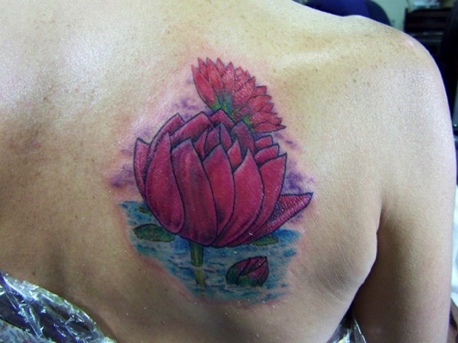 Pink Lotus (After 2)
